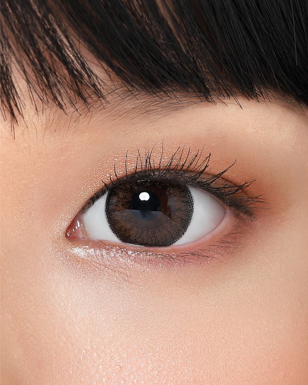 Fresh-Brown-2.jpg1fresh-brown-fc7241699423754.jpg